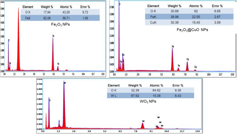https://cdn.ncbi.nlm.nih.gov/pmc/blobs/bac5/10937632/63f498b8d5a5/41598_2024_55319_Fig4_HTML.jpg