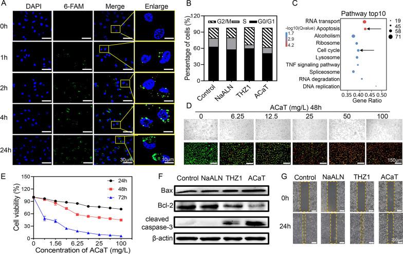 https://cdn.ncbi.nlm.nih.gov/pmc/blobs/bac5/8864853/1790c2d10544/12951_2022_1300_Fig3_HTML.jpg