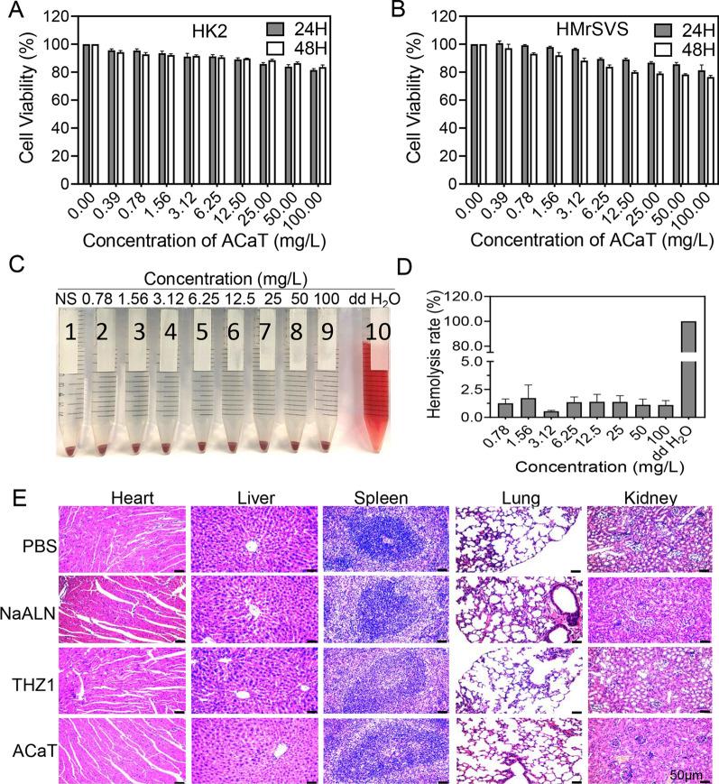 https://cdn.ncbi.nlm.nih.gov/pmc/blobs/bac5/8864853/d19a313e7cc1/12951_2022_1300_Fig6_HTML.jpg