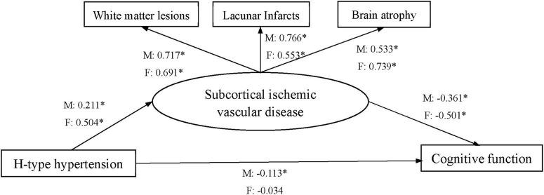 https://cdn.ncbi.nlm.nih.gov/pmc/blobs/bac7/9560583/0943f0706d1f/fnagi-14-998268-g001.jpg