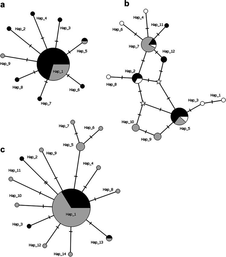 https://cdn.ncbi.nlm.nih.gov/pmc/blobs/bac9/9622509/7e194c65758f/248_2021_1882_Fig1_HTML.jpg