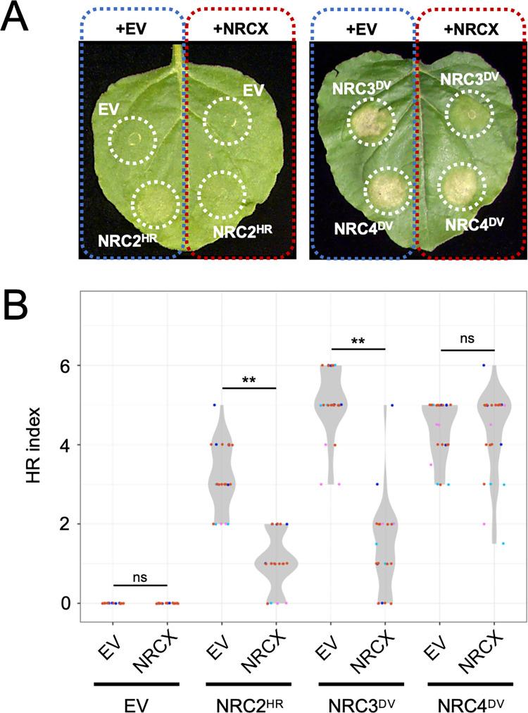 https://cdn.ncbi.nlm.nih.gov/pmc/blobs/bac9/9851556/a0abc02bedcf/pgen.1010500.g007.jpg