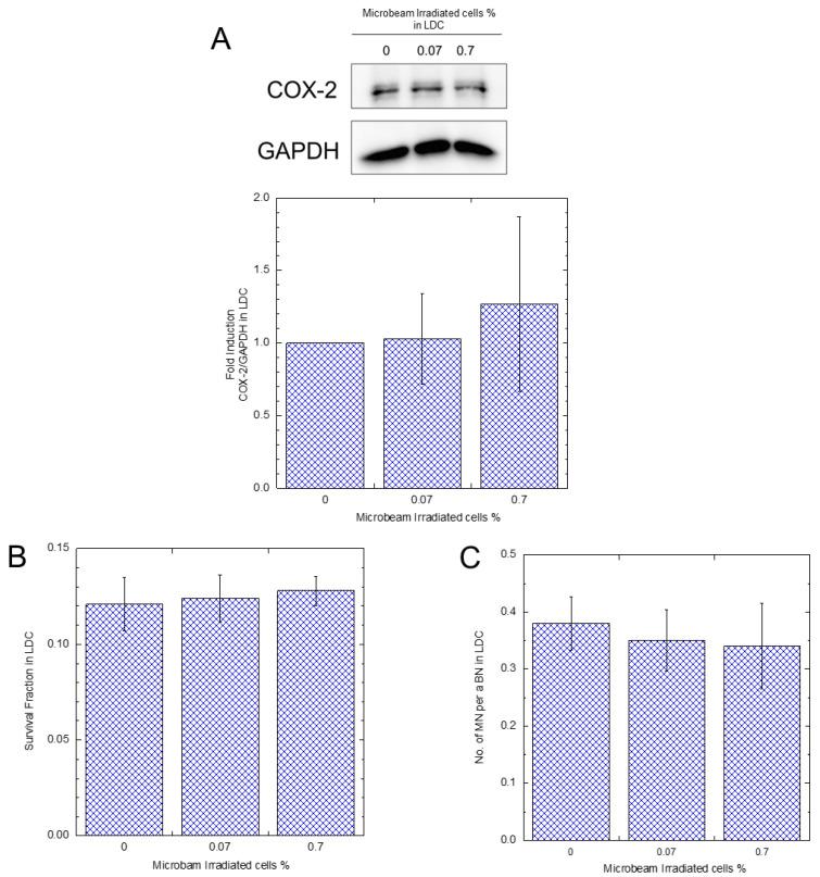 https://cdn.ncbi.nlm.nih.gov/pmc/blobs/baca/10669009/2687fa7c69b5/biology-12-01368-g004.jpg