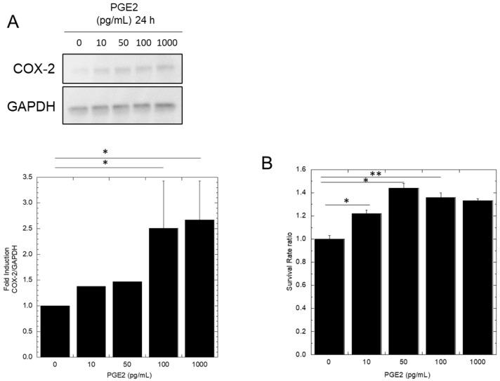 https://cdn.ncbi.nlm.nih.gov/pmc/blobs/baca/10669009/b8238602943f/biology-12-01368-g002.jpg