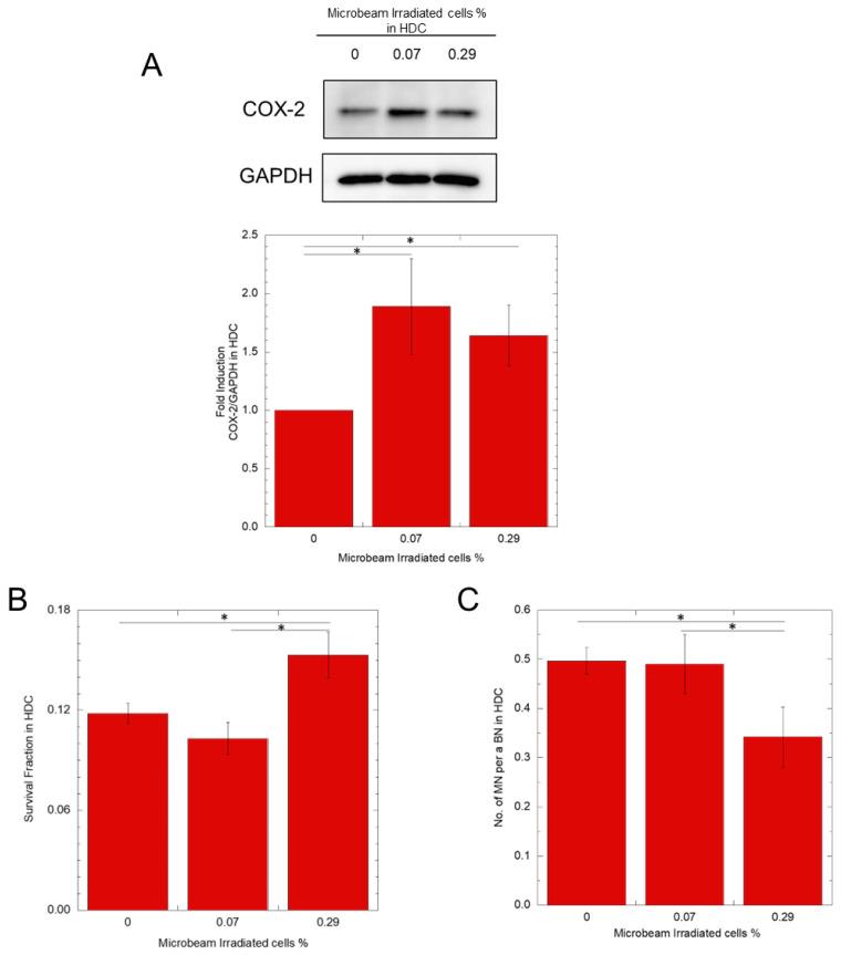 https://cdn.ncbi.nlm.nih.gov/pmc/blobs/baca/10669009/c03a74bcc446/biology-12-01368-g003.jpg