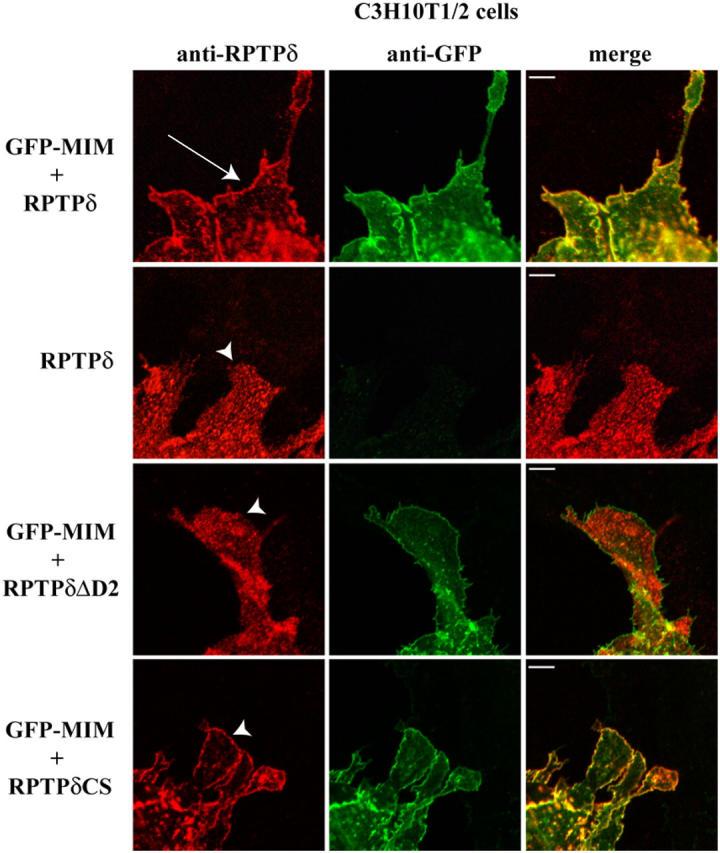 https://cdn.ncbi.nlm.nih.gov/pmc/blobs/baca/2171717/2c5e7c7ce752/200409078f8.jpg