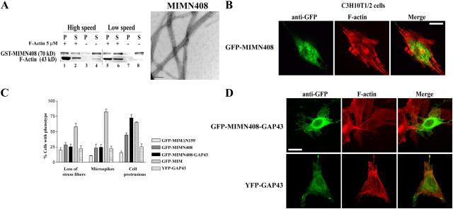 https://cdn.ncbi.nlm.nih.gov/pmc/blobs/baca/2171717/7b91f21bf7ec/200409078f6.jpg
