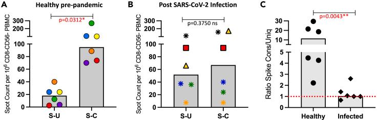 https://cdn.ncbi.nlm.nih.gov/pmc/blobs/bacc/11166706/746923a20e21/gr8.jpg