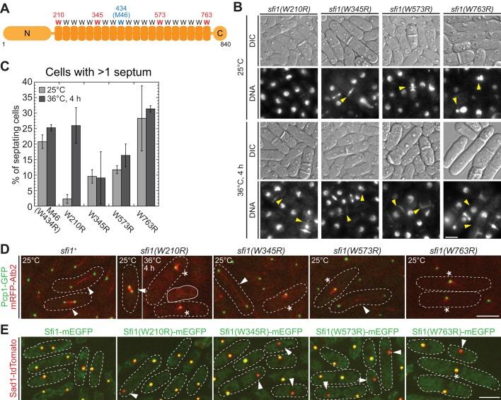 https://cdn.ncbi.nlm.nih.gov/pmc/blobs/bacc/4161509/6fadeedd986f/2735fig7.jpg