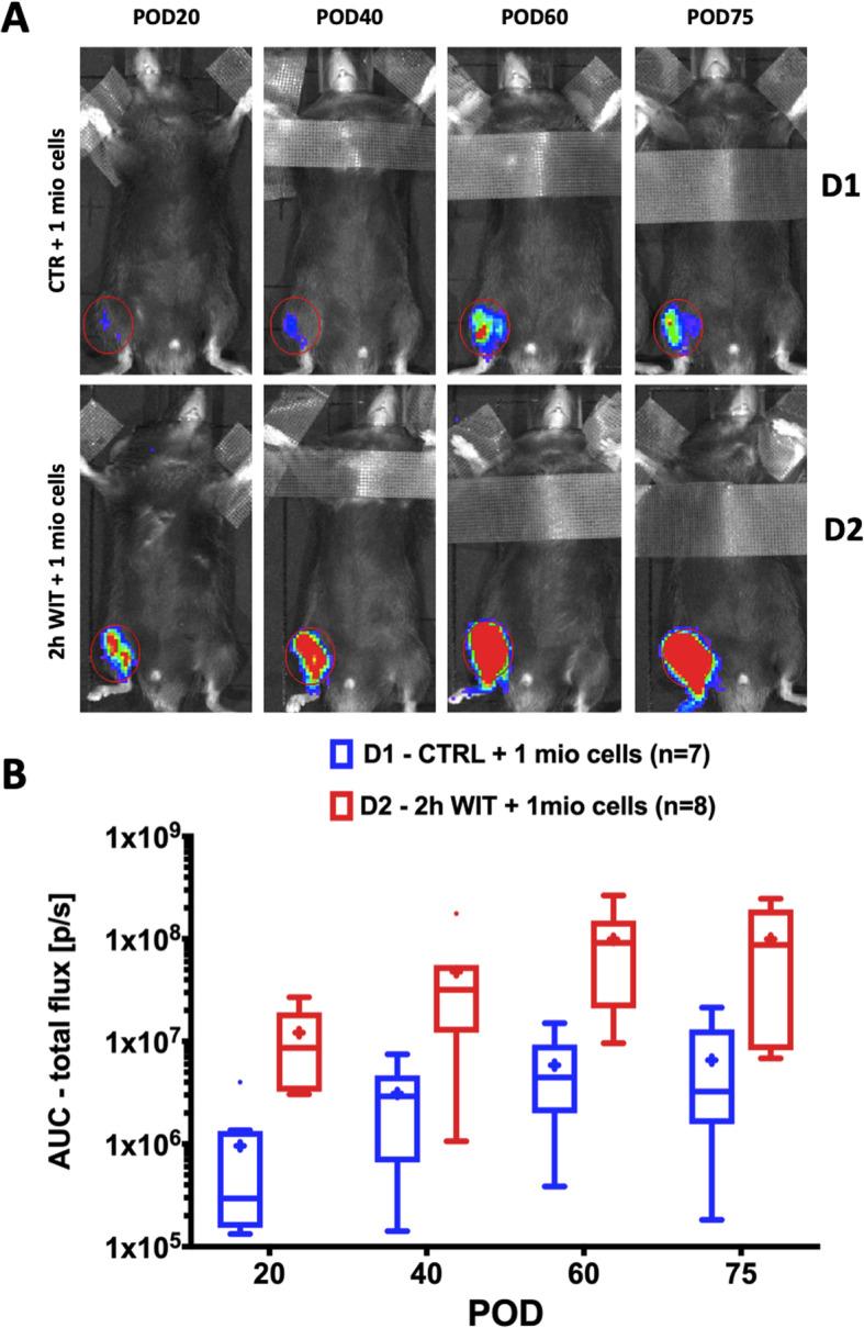 https://cdn.ncbi.nlm.nih.gov/pmc/blobs/bacc/7905585/4cdf3f96a277/13287_2021_2208_Fig4_HTML.jpg