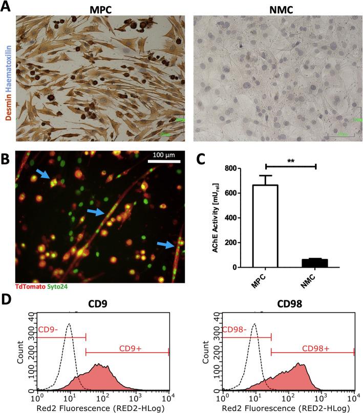 https://cdn.ncbi.nlm.nih.gov/pmc/blobs/bacc/7905585/a6161fa9f456/13287_2021_2208_Fig1_HTML.jpg