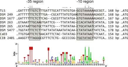 https://cdn.ncbi.nlm.nih.gov/pmc/blobs/bacd/3153061/a9582071af0a/fmicb-02-00116-g005.jpg