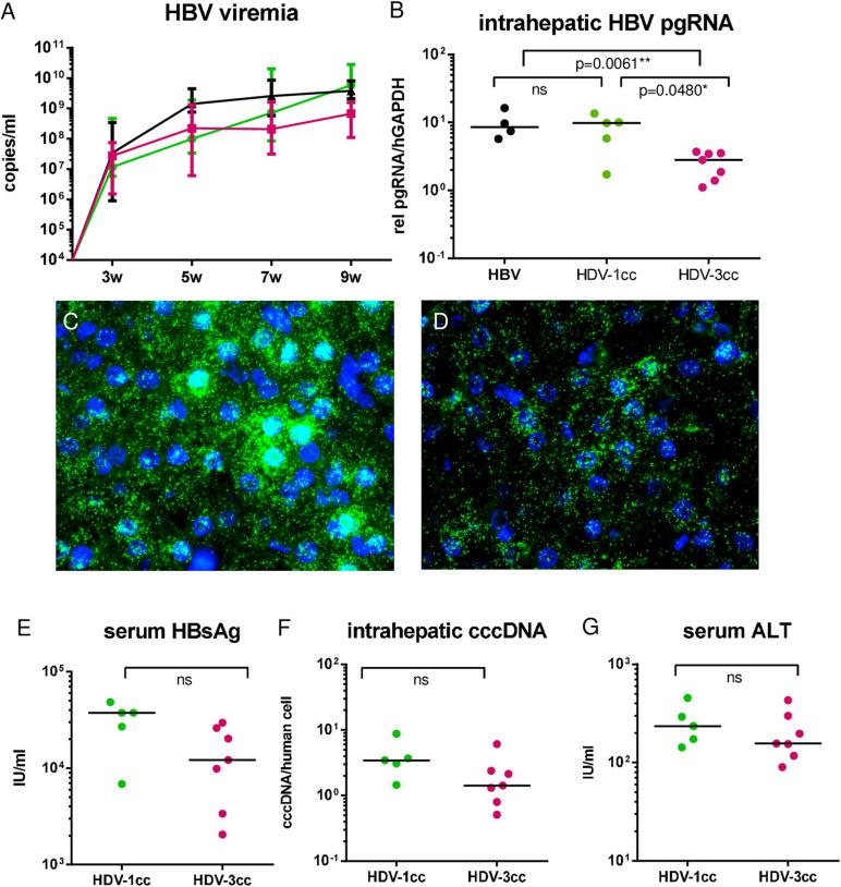 https://cdn.ncbi.nlm.nih.gov/pmc/blobs/bacd/8297590/113d65c3b76d/fmicb-12-671466-g002.jpg
