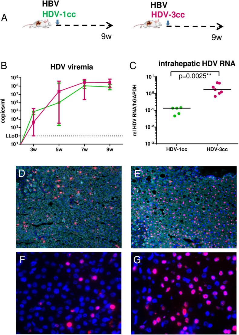 https://cdn.ncbi.nlm.nih.gov/pmc/blobs/bacd/8297590/6b24723a3915/fmicb-12-671466-g001.jpg