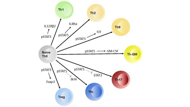 https://cdn.ncbi.nlm.nih.gov/pmc/blobs/bace/5247784/58f9c3253214/f1000research-6-10607-g0000.jpg