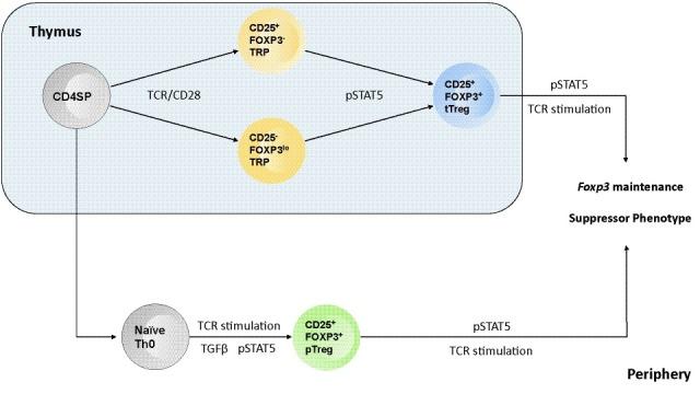 https://cdn.ncbi.nlm.nih.gov/pmc/blobs/bace/5247784/b16f5af6b47a/f1000research-6-10607-g0001.jpg