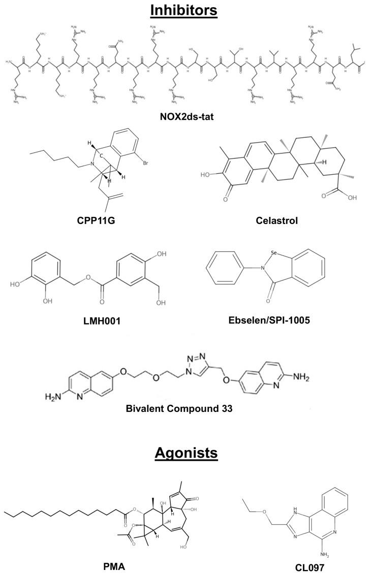 https://cdn.ncbi.nlm.nih.gov/pmc/blobs/bacf/12293349/3210465d2522/cells-14-01043-g003.jpg