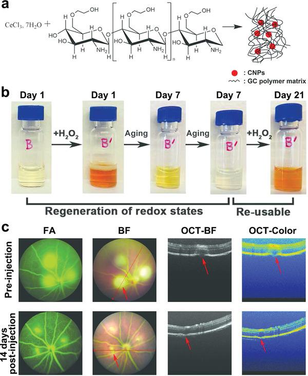 https://cdn.ncbi.nlm.nih.gov/pmc/blobs/bacf/9130902/472d946e1611/ADVS-9-2003699-g005.jpg