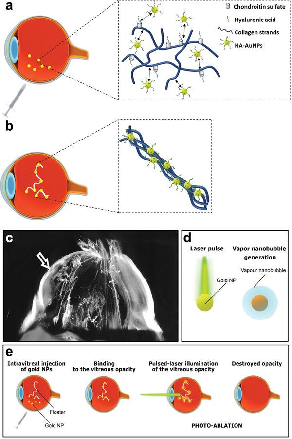 https://cdn.ncbi.nlm.nih.gov/pmc/blobs/bacf/9130902/67ffa0c137ab/ADVS-9-2003699-g016.jpg