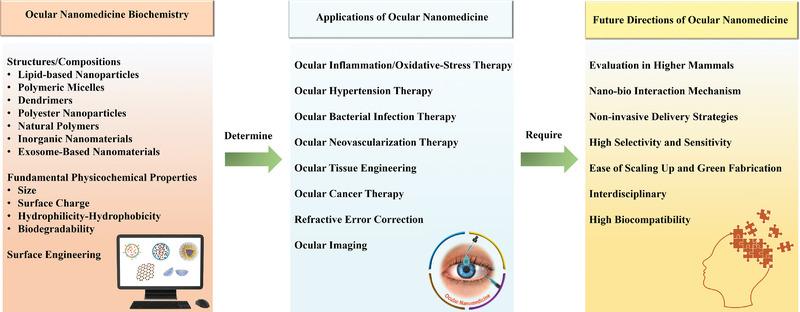https://cdn.ncbi.nlm.nih.gov/pmc/blobs/bacf/9130902/6bed9362ae1f/ADVS-9-2003699-g007.jpg