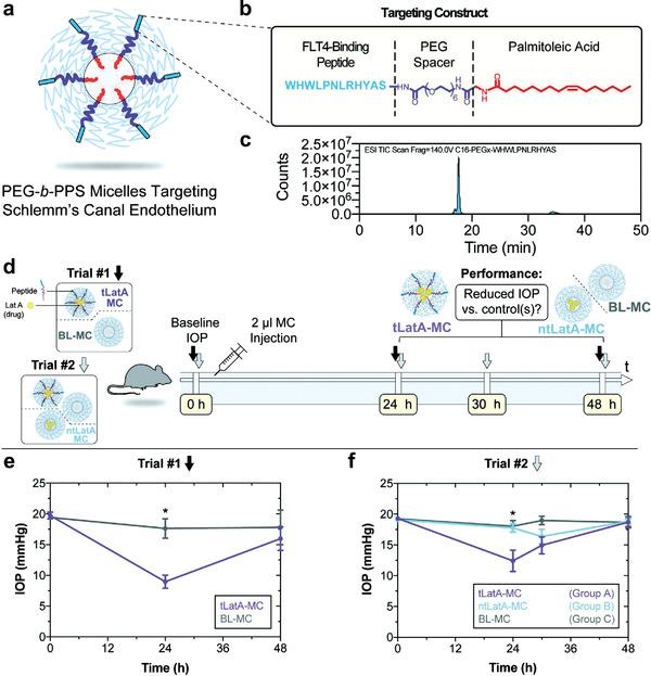 https://cdn.ncbi.nlm.nih.gov/pmc/blobs/bacf/9130902/f6973ad57931/ADVS-9-2003699-g017.jpg