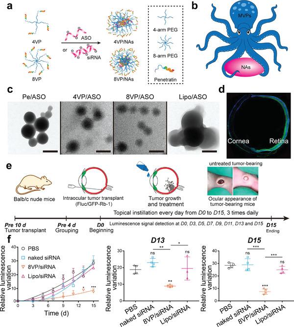 https://cdn.ncbi.nlm.nih.gov/pmc/blobs/bacf/9130902/fa35fcc6c335/ADVS-9-2003699-g008.jpg