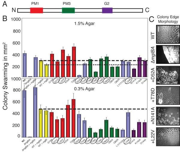 https://cdn.ncbi.nlm.nih.gov/pmc/blobs/bad0/3000849/fe15e6e7d67b/1471-2180-10-295-10.jpg