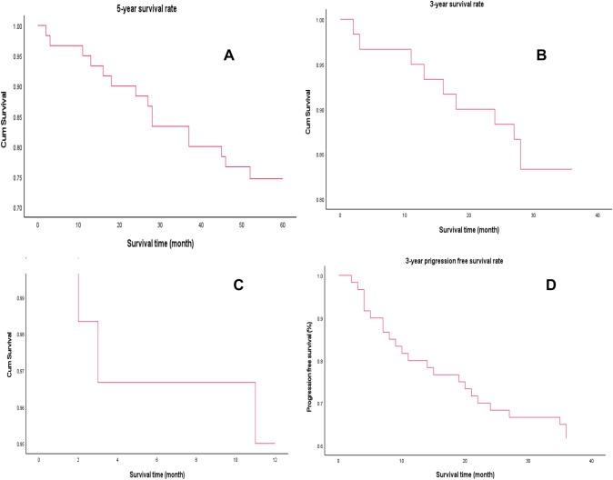 https://cdn.ncbi.nlm.nih.gov/pmc/blobs/bad1/10423131/33ef6aacace2/432_2023_4949_Fig5_HTML.jpg