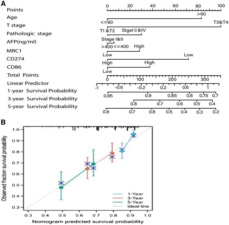 https://cdn.ncbi.nlm.nih.gov/pmc/blobs/bad1/10423131/4049cdee9ebd/432_2023_4949_Fig7_HTML.jpg