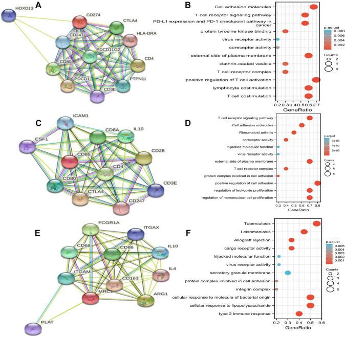https://cdn.ncbi.nlm.nih.gov/pmc/blobs/bad1/10423131/4646d190b5d5/432_2023_4949_Fig8_HTML.jpg