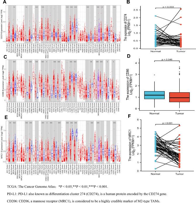 https://cdn.ncbi.nlm.nih.gov/pmc/blobs/bad1/10423131/7113d94d925d/432_2023_4949_Fig1_HTML.jpg