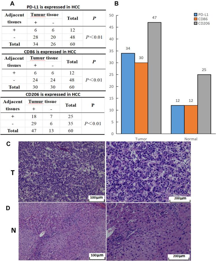 https://cdn.ncbi.nlm.nih.gov/pmc/blobs/bad1/10423131/999e92dbfcb7/432_2023_4949_Fig4_HTML.jpg