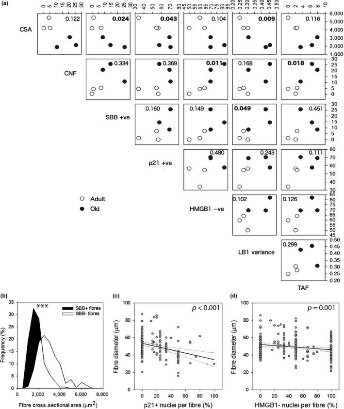 https://cdn.ncbi.nlm.nih.gov/pmc/blobs/bad1/6351849/786c25720c2d/ACEL-18-e12848-g002.jpg