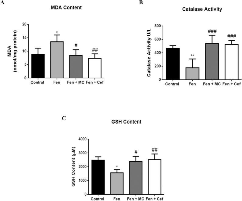 https://cdn.ncbi.nlm.nih.gov/pmc/blobs/bad2/11327467/5ffacaf1a6d4/gr8.jpg