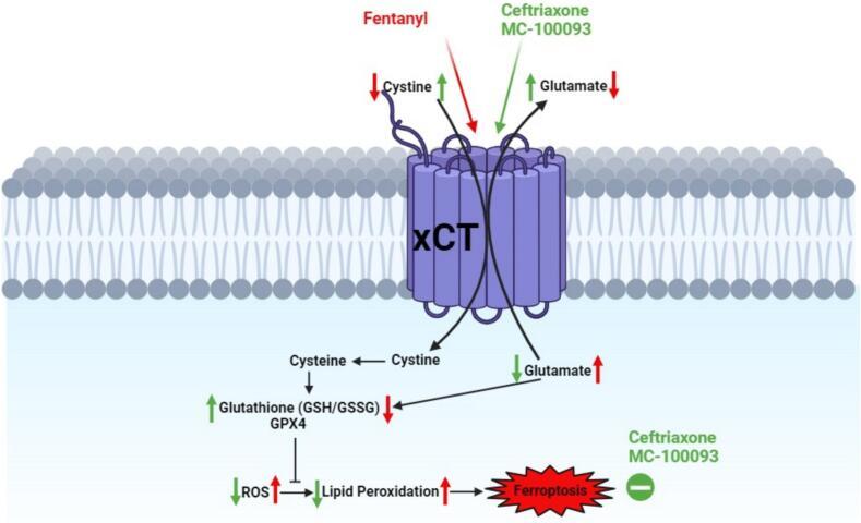 https://cdn.ncbi.nlm.nih.gov/pmc/blobs/bad2/11327467/8eb3d5a4b08a/gr10.jpg