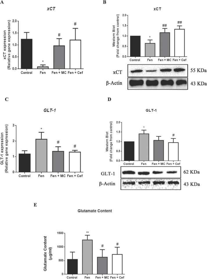 https://cdn.ncbi.nlm.nih.gov/pmc/blobs/bad2/11327467/cf62f179ef98/gr9.jpg