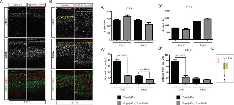 https://cdn.ncbi.nlm.nih.gov/pmc/blobs/bad2/6311355/7da0d0ea8e7e/bpl-4-bpl170048-g003.jpg