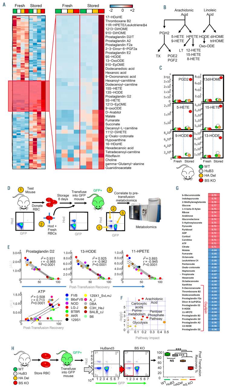 https://cdn.ncbi.nlm.nih.gov/pmc/blobs/bad3/8561282/af74abd3d7e2/1062971.fig2.jpg