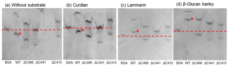 https://cdn.ncbi.nlm.nih.gov/pmc/blobs/bad3/9026390/6e0e6a82f4b7/marinedrugs-20-00250-g004.jpg