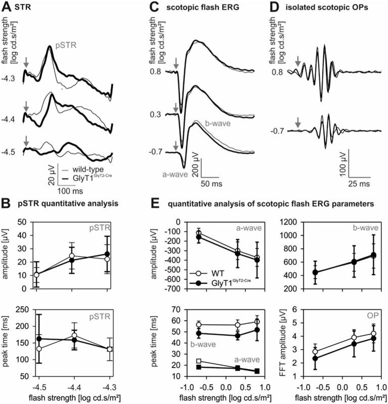 https://cdn.ncbi.nlm.nih.gov/pmc/blobs/bad4/12098532/1661c53cc55e/fnmol-18-1564870-g003.jpg