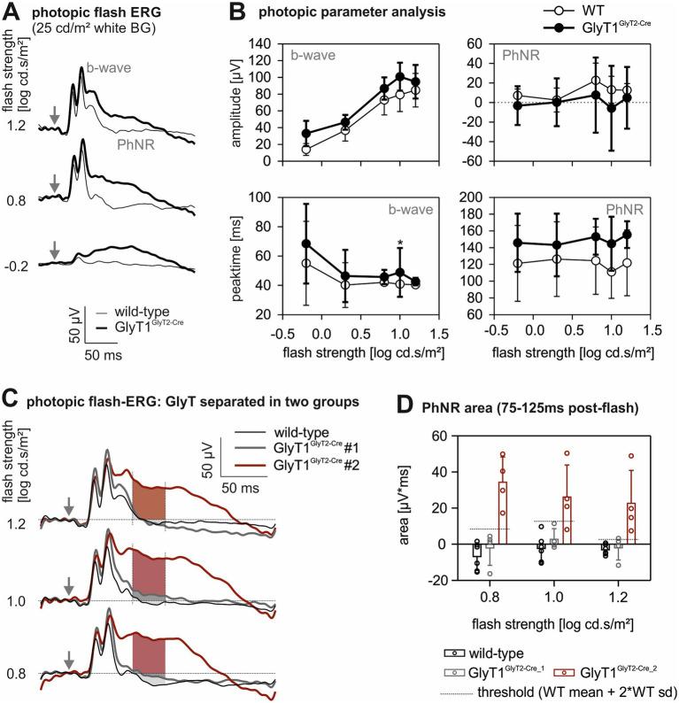 https://cdn.ncbi.nlm.nih.gov/pmc/blobs/bad4/12098532/c792c41be751/fnmol-18-1564870-g004.jpg