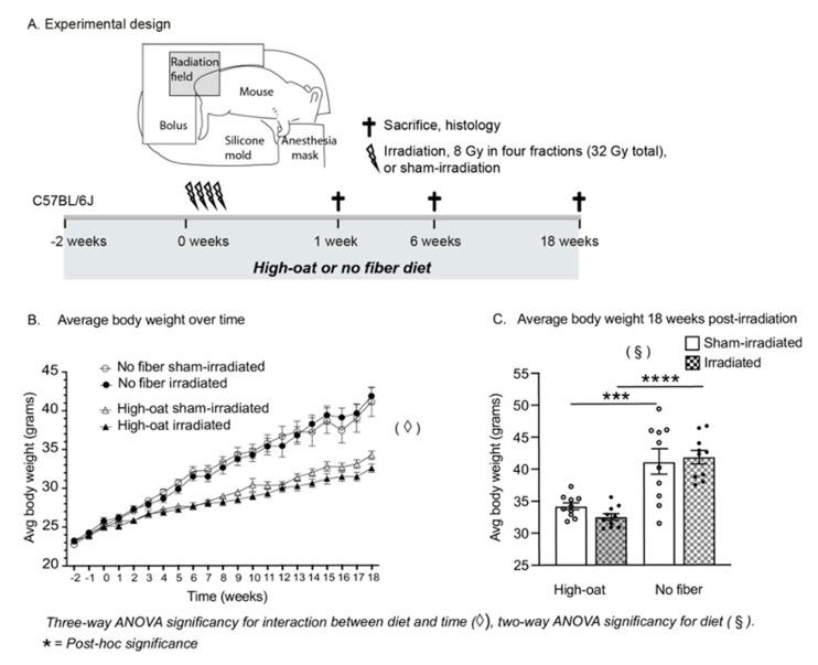 https://cdn.ncbi.nlm.nih.gov/pmc/blobs/bad6/8745769/868f847802ac/ijms-23-00439-g001.jpg