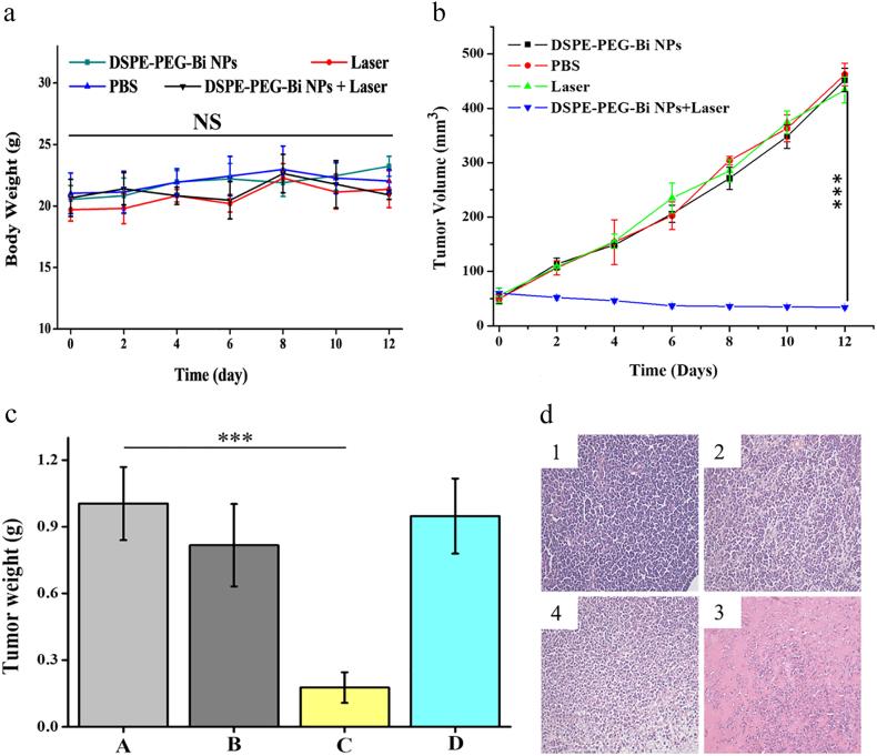 https://cdn.ncbi.nlm.nih.gov/pmc/blobs/bad8/6517535/bbb989b232d7/gr6.jpg