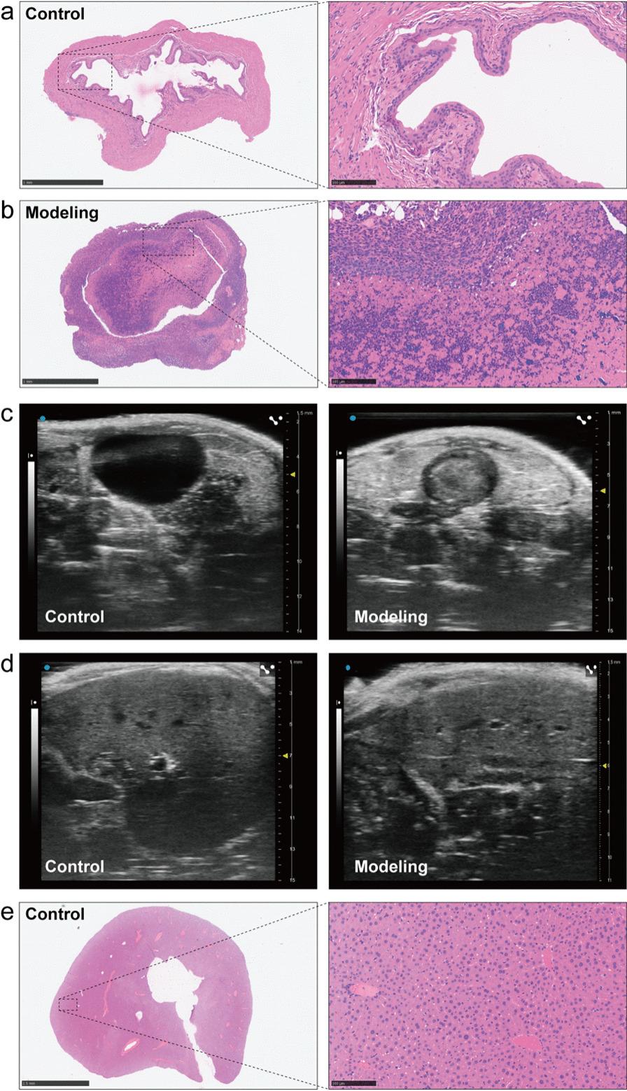 https://cdn.ncbi.nlm.nih.gov/pmc/blobs/bad8/9441054/862e0e412836/12894_2022_1093_Fig7_HTML.jpg