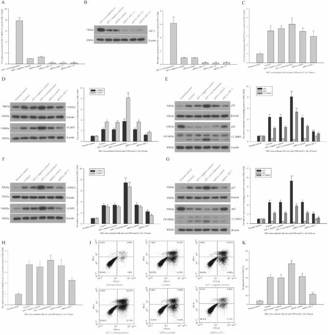 https://cdn.ncbi.nlm.nih.gov/pmc/blobs/badc/11300820/5144d416832d/41598_2024_69323_Fig5_HTML.jpg