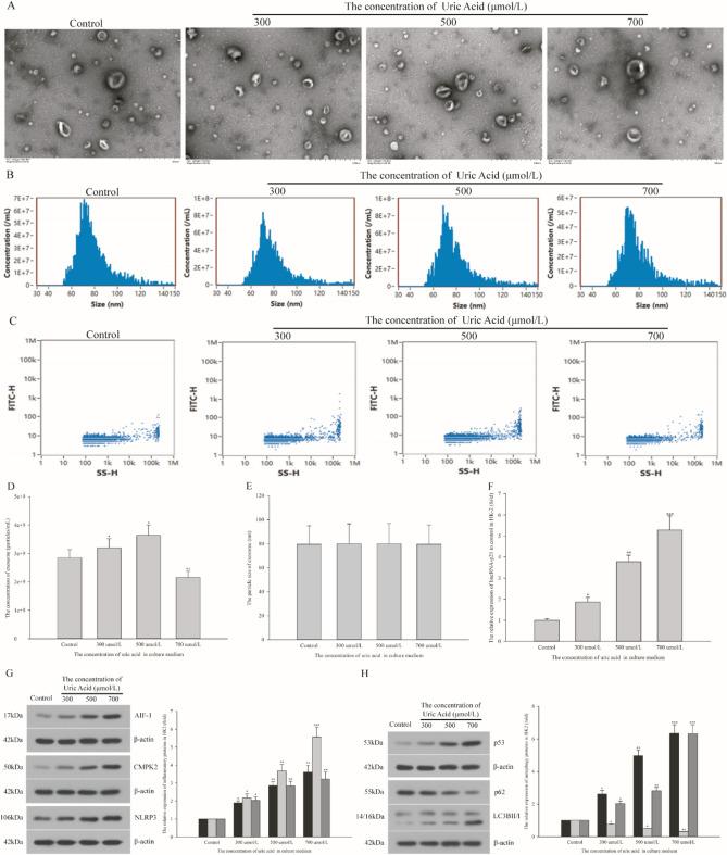 https://cdn.ncbi.nlm.nih.gov/pmc/blobs/badc/11300820/630be4823c33/41598_2024_69323_Fig3_HTML.jpg