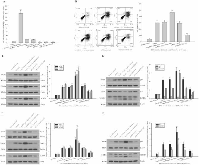 https://cdn.ncbi.nlm.nih.gov/pmc/blobs/badc/11300820/787b69026de8/41598_2024_69323_Fig4_HTML.jpg