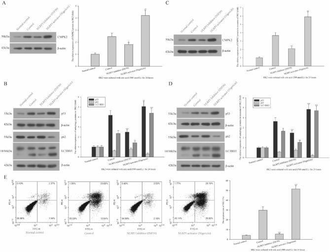 https://cdn.ncbi.nlm.nih.gov/pmc/blobs/badc/11300820/8d4637dbb5d7/41598_2024_69323_Fig7_HTML.jpg
