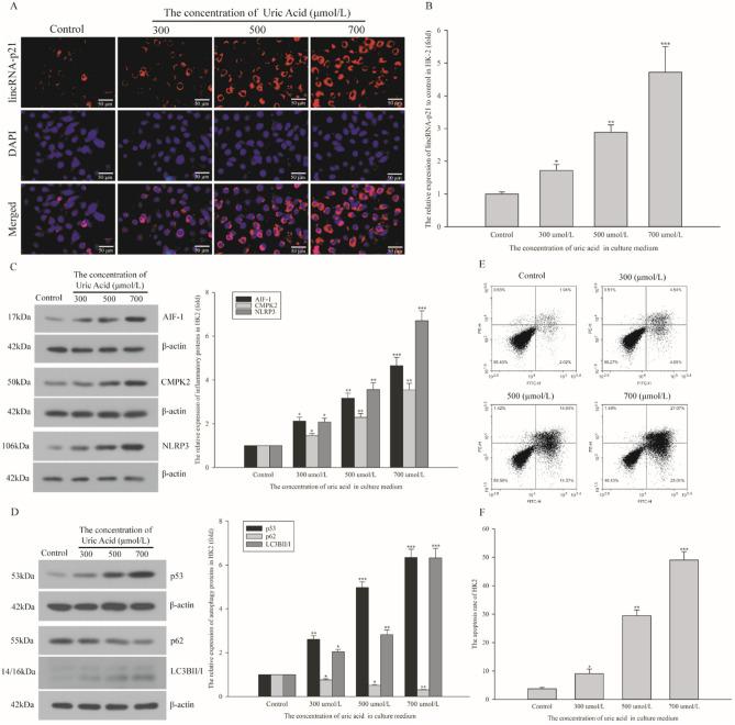 https://cdn.ncbi.nlm.nih.gov/pmc/blobs/badc/11300820/e84c5c9e89dd/41598_2024_69323_Fig2_HTML.jpg