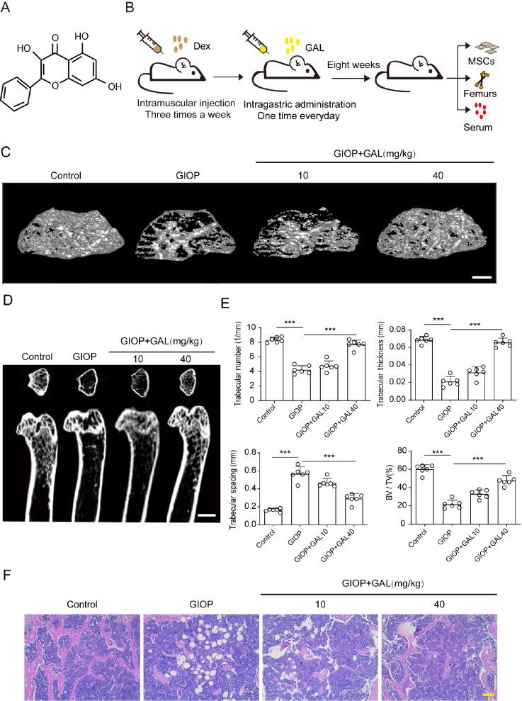 https://cdn.ncbi.nlm.nih.gov/pmc/blobs/badd/10448057/4129286e3f65/abbs-2022-698-t1.jpg